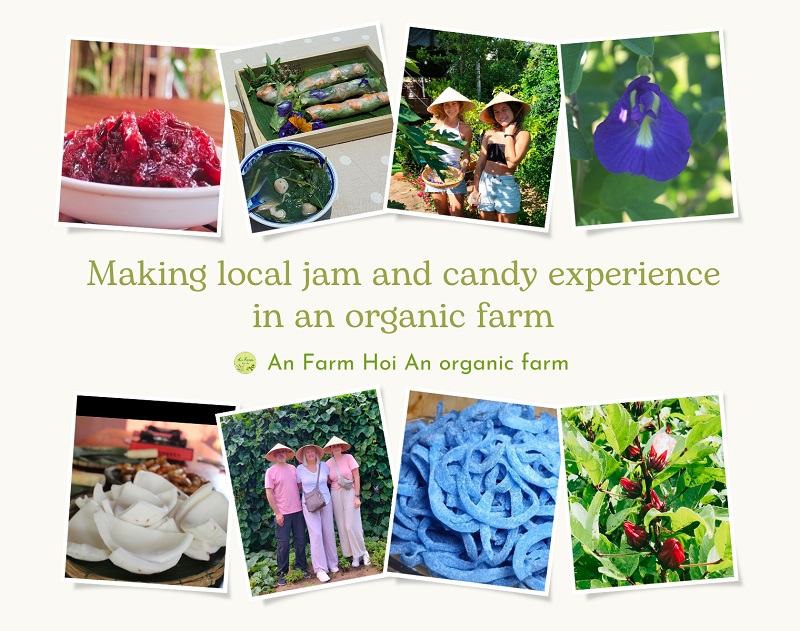 Making local jam and candy experience in an organic farm