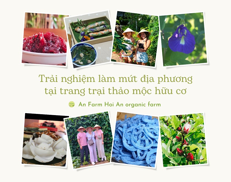 Trải nghiệm làm mứt địa phương tại trang trại thảo mộc hữu cơ
