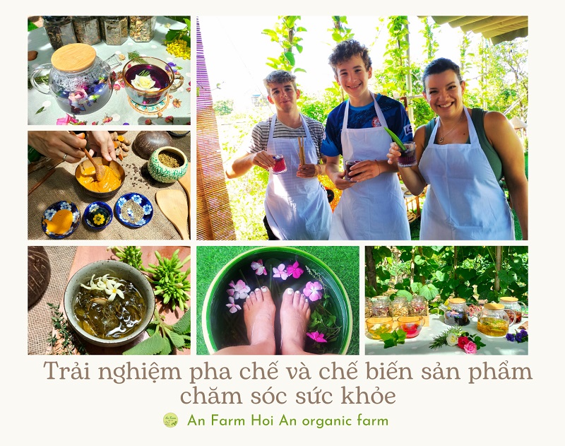 Trải nghiệm học pha chế và chế biến sản phẩm chăm sóc sức khỏe