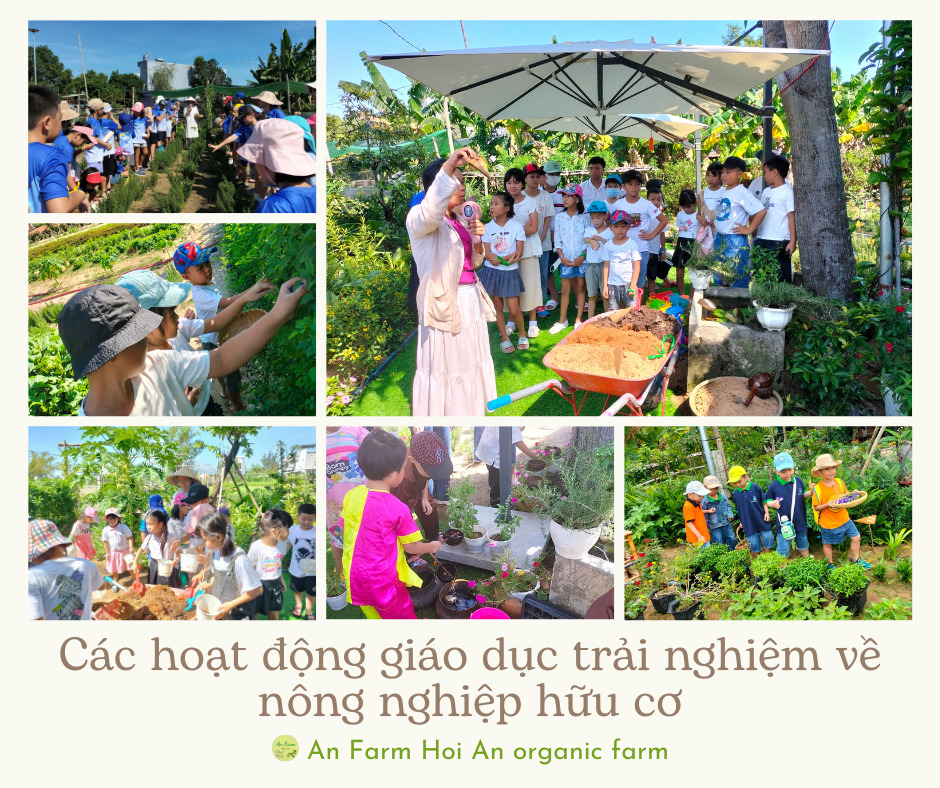 Các hoạt động giáo dục về nông nghiệp hữu cơ