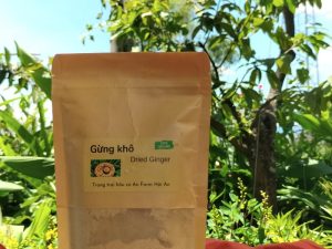 Gừng khô - Dried Ginger