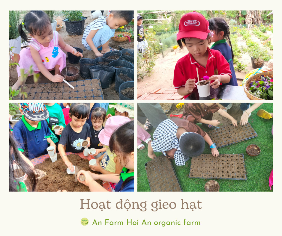 Hoạt động gieo hạt mang về