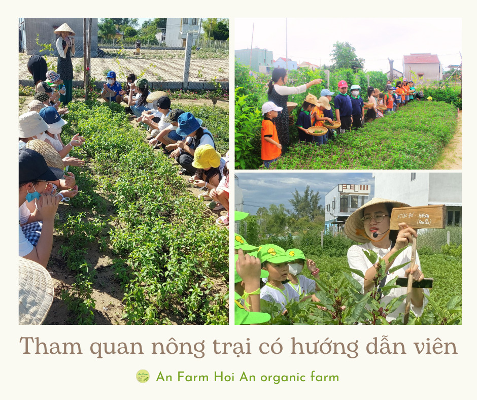 Tham quan nông trại có hướng dẫn
