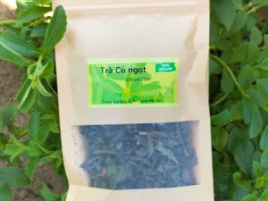 Trà cỏ ngọt - Stevia tea