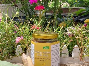 Trà gừng mật ong - Ginger infused honey