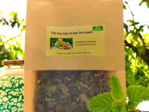 Trà hoa hòe & bạc hà chanh - Japanese pagoda flower & lemon balm tea