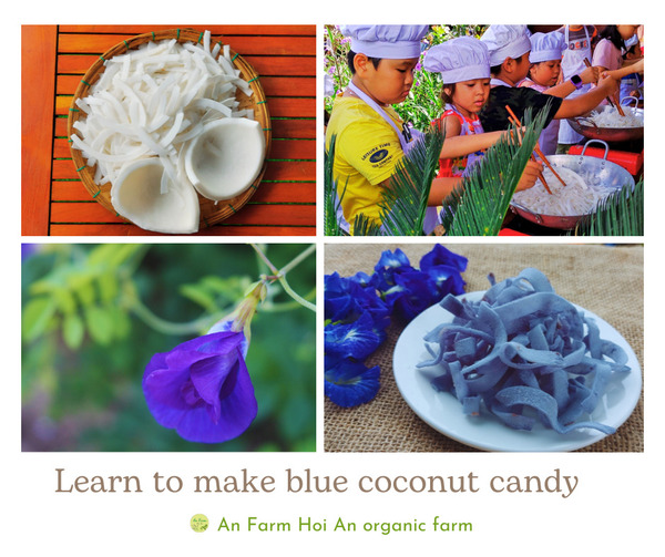 Learn to make blue coconut candy