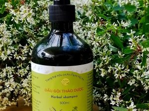 Dầu gội thảo dược - Herbal shampoo