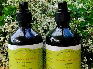 Dầu gội thảo dược - Herbal shampoo