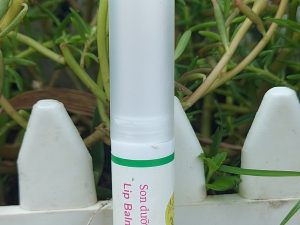 Son dưỡng môi - Lip balm