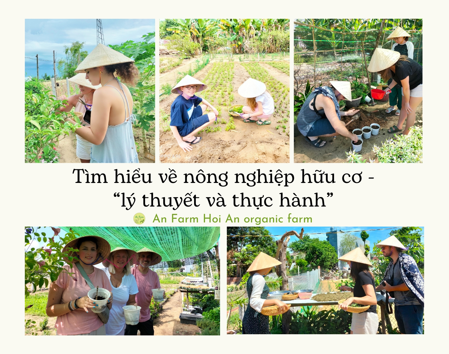 Tìm hiểu về nông nghiệp hữu cơ - “lý thuyết và thực hành”